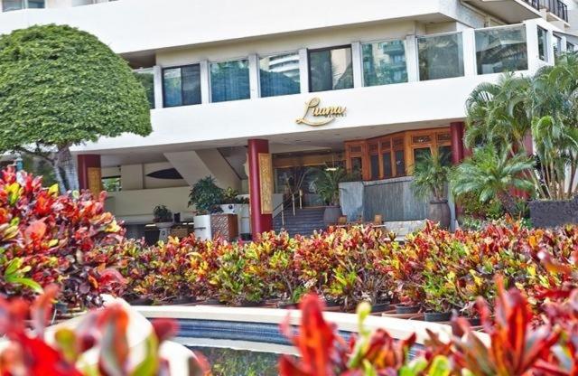 Luana Waikiki 520 Condo 호놀룰루 외부 사진